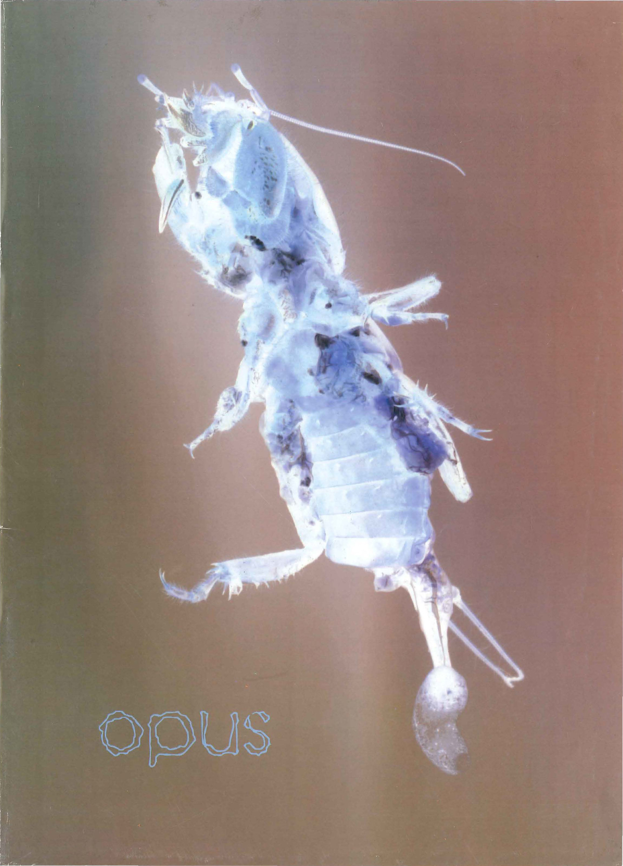 Opus - Bug Issue, 2003 | Living Histories