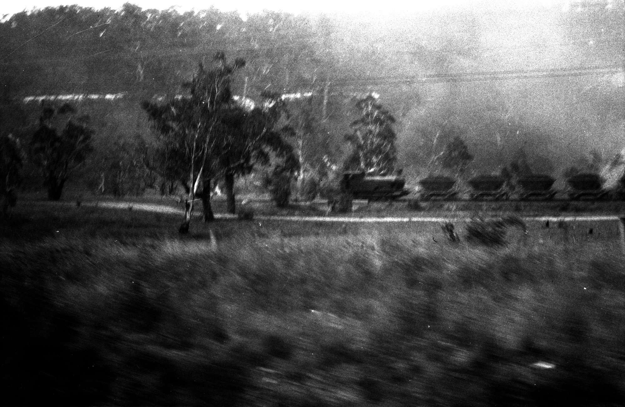 South Bulli Coal Co. Ltd, Locomotive No. 5 