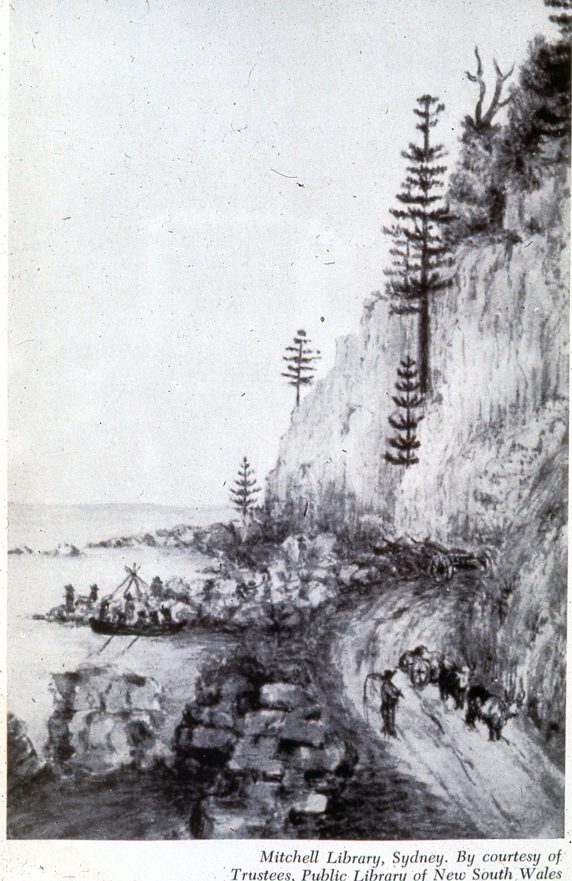 Illustration, Cascades, Norfolk Island, [attributed to Miss Maconochie ...