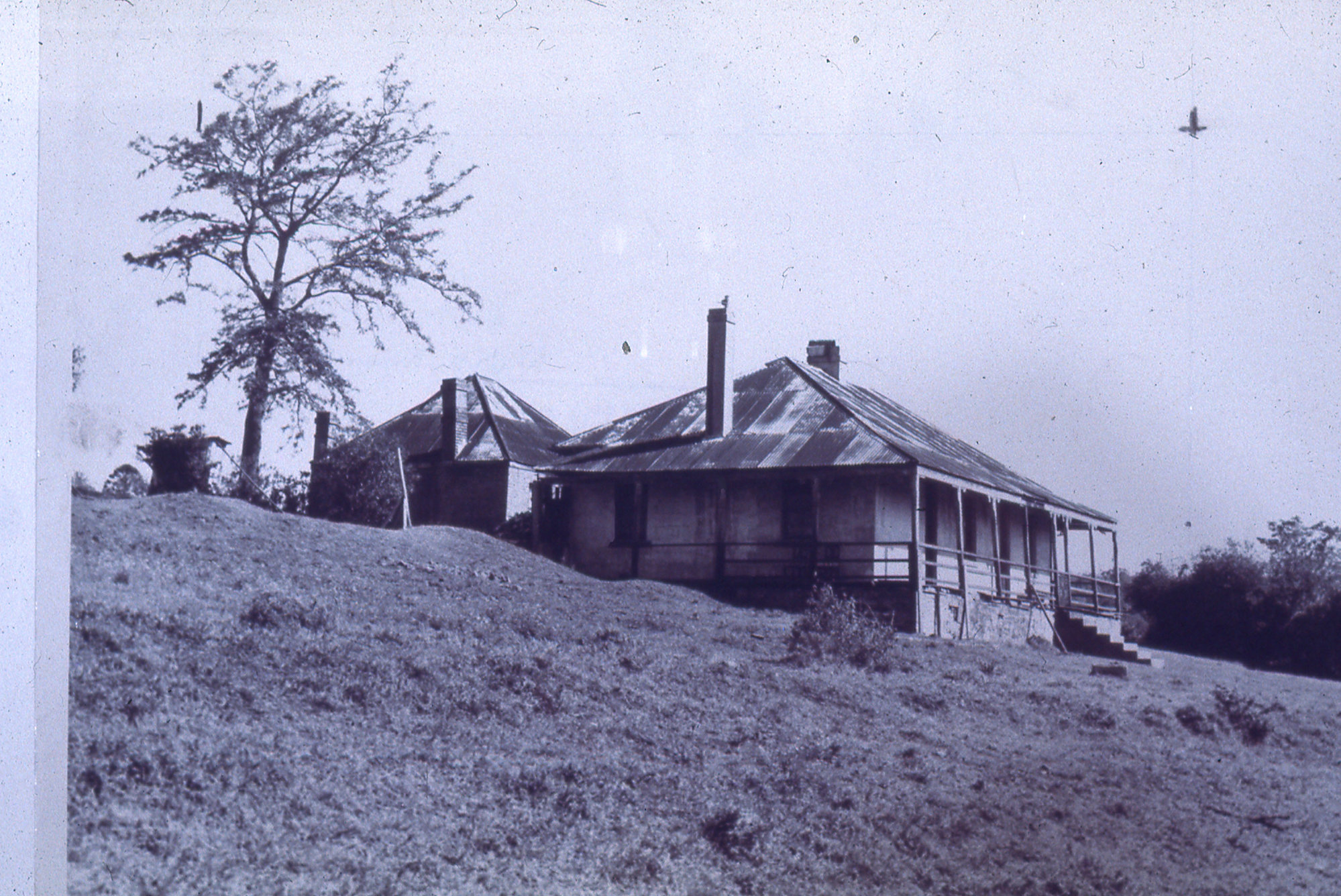 Houses, Minmi, NSW, [n.d.] Living Histories