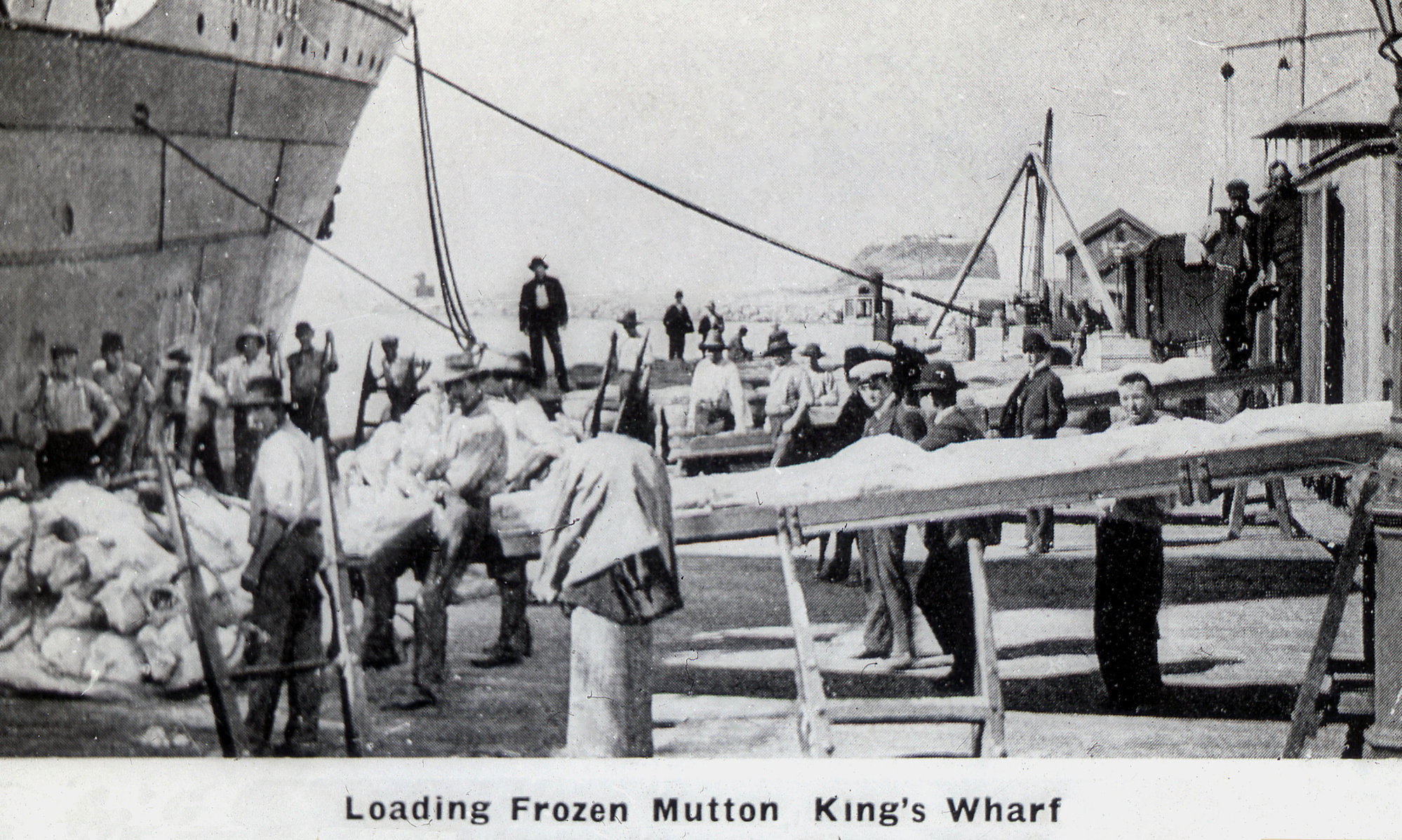 Postcard, loading frozen mutton, King's Wharf, Newcastle, NSW | Living ...