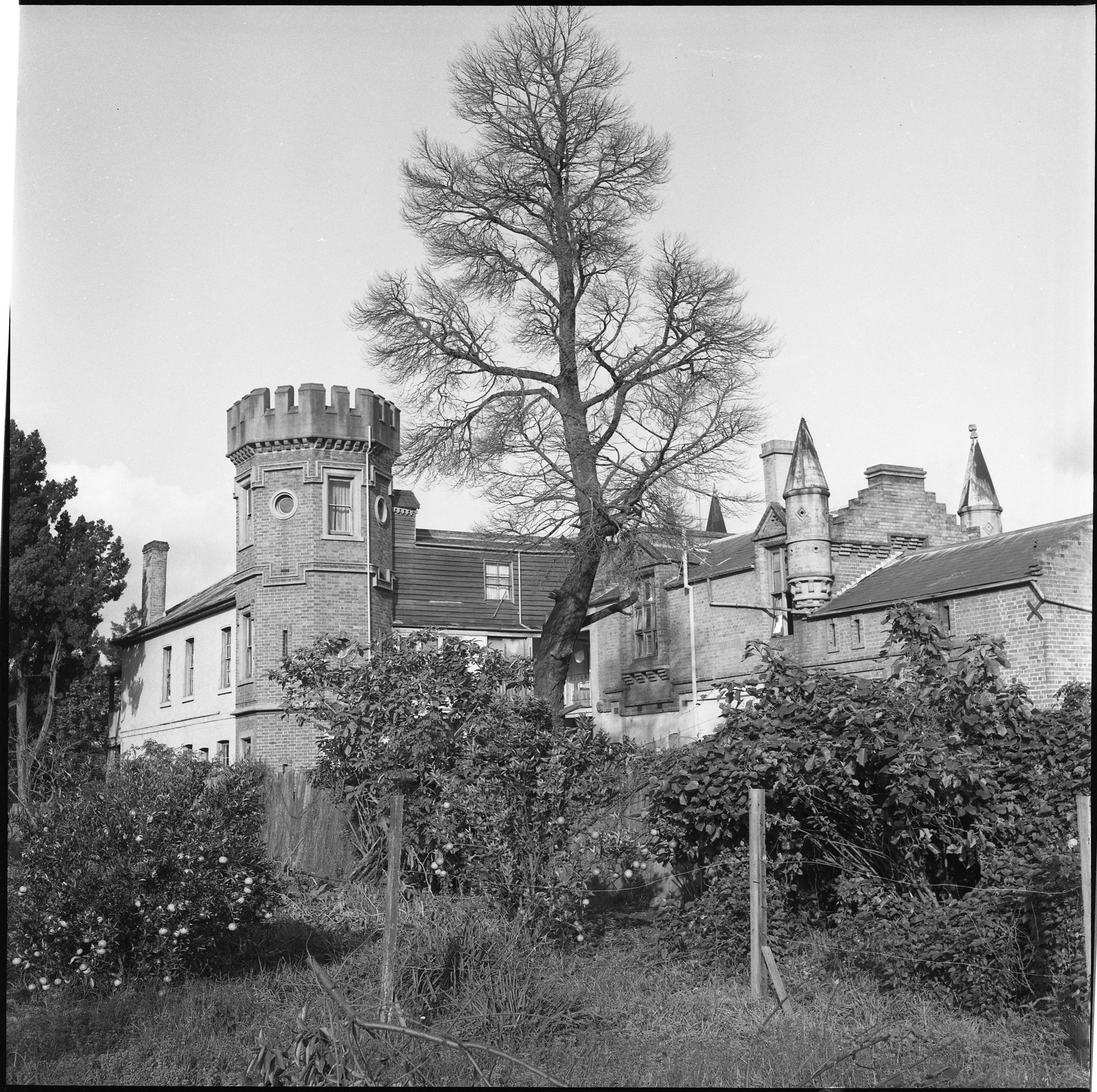 Sauchi House, Maitland, NSW, [1945] (originally Mr. Fraser’s School in Church Street Maitland – beginning of Maitland Boys’ High School)