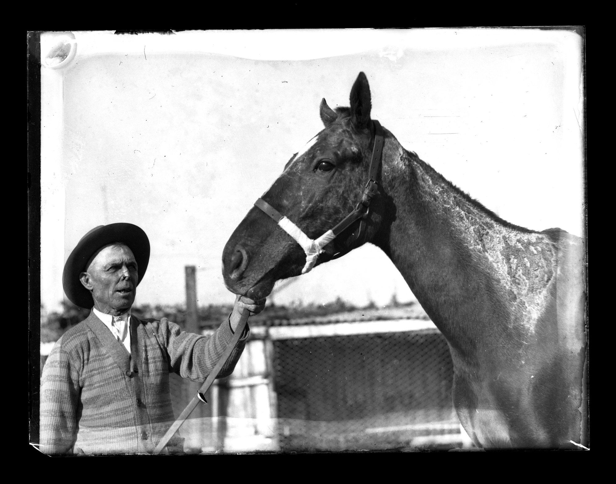 Horse and trainer, [n.d.] | Living Histories
