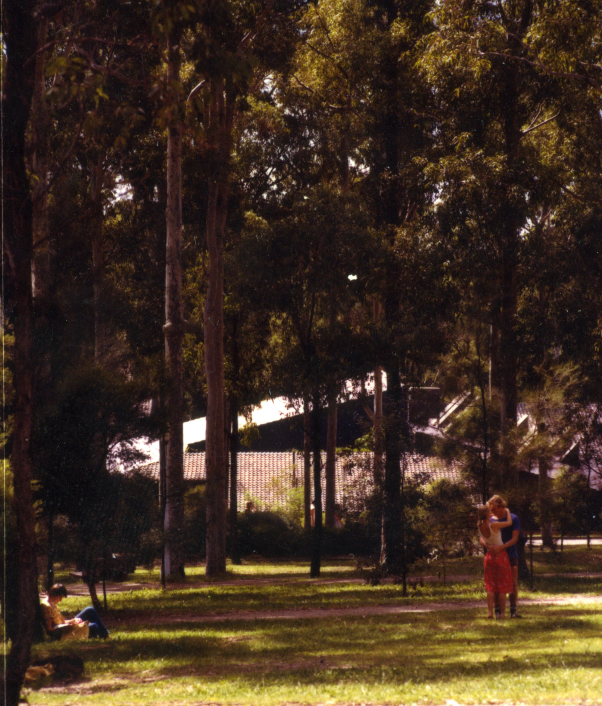 Callaghan Campus grounds - students relax outside the Shortland Union ...