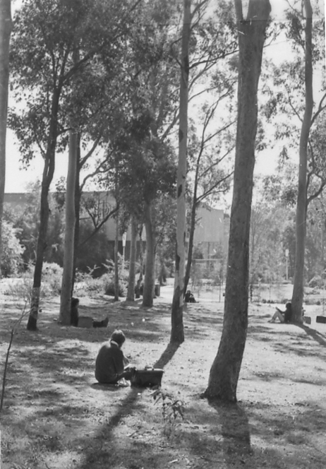 Callaghan Campus grounds, the University of Newcastle, Australia ...