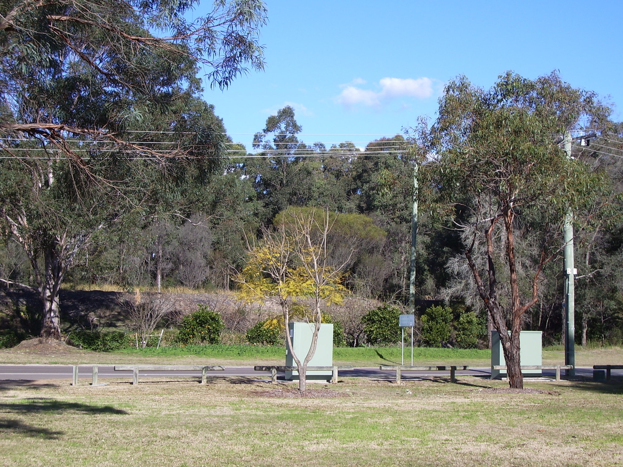 Site of Bellbird Colliery, NSW, Australia | Living Histories