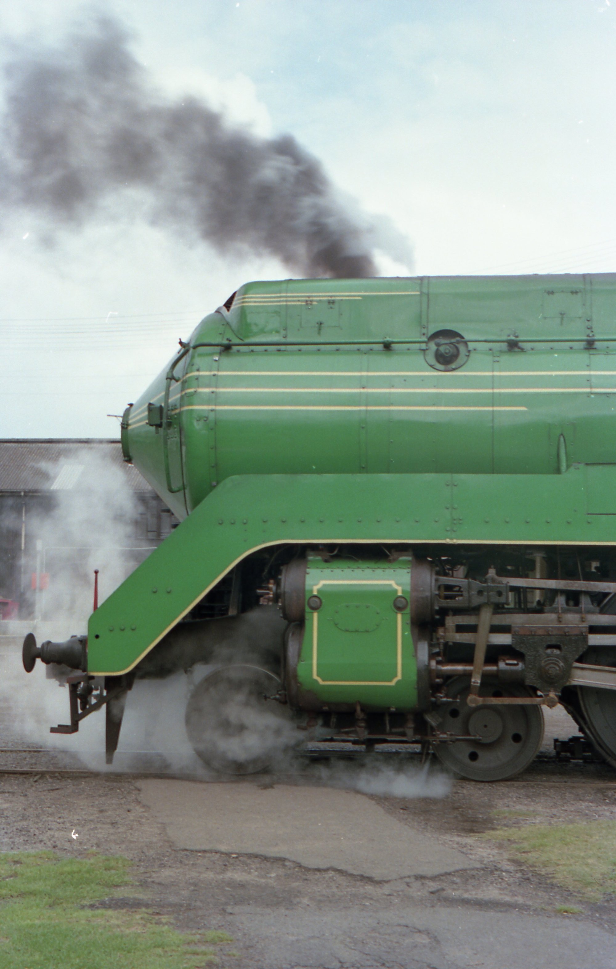 The front of 3801 at Broadmeadow Loco. | Living Histories