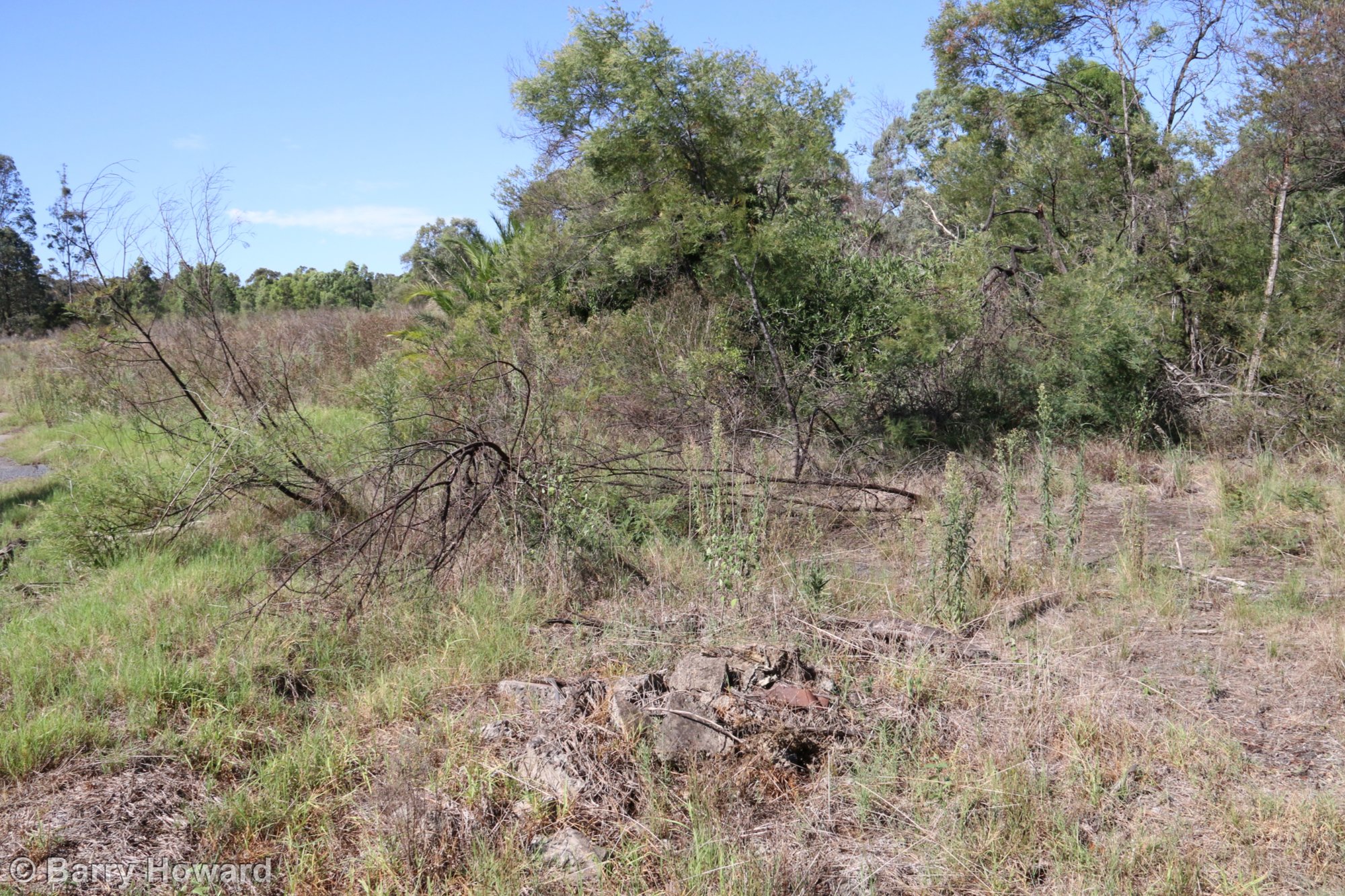 Site of the former Bellbird Colliery, NSW. | Living Histories