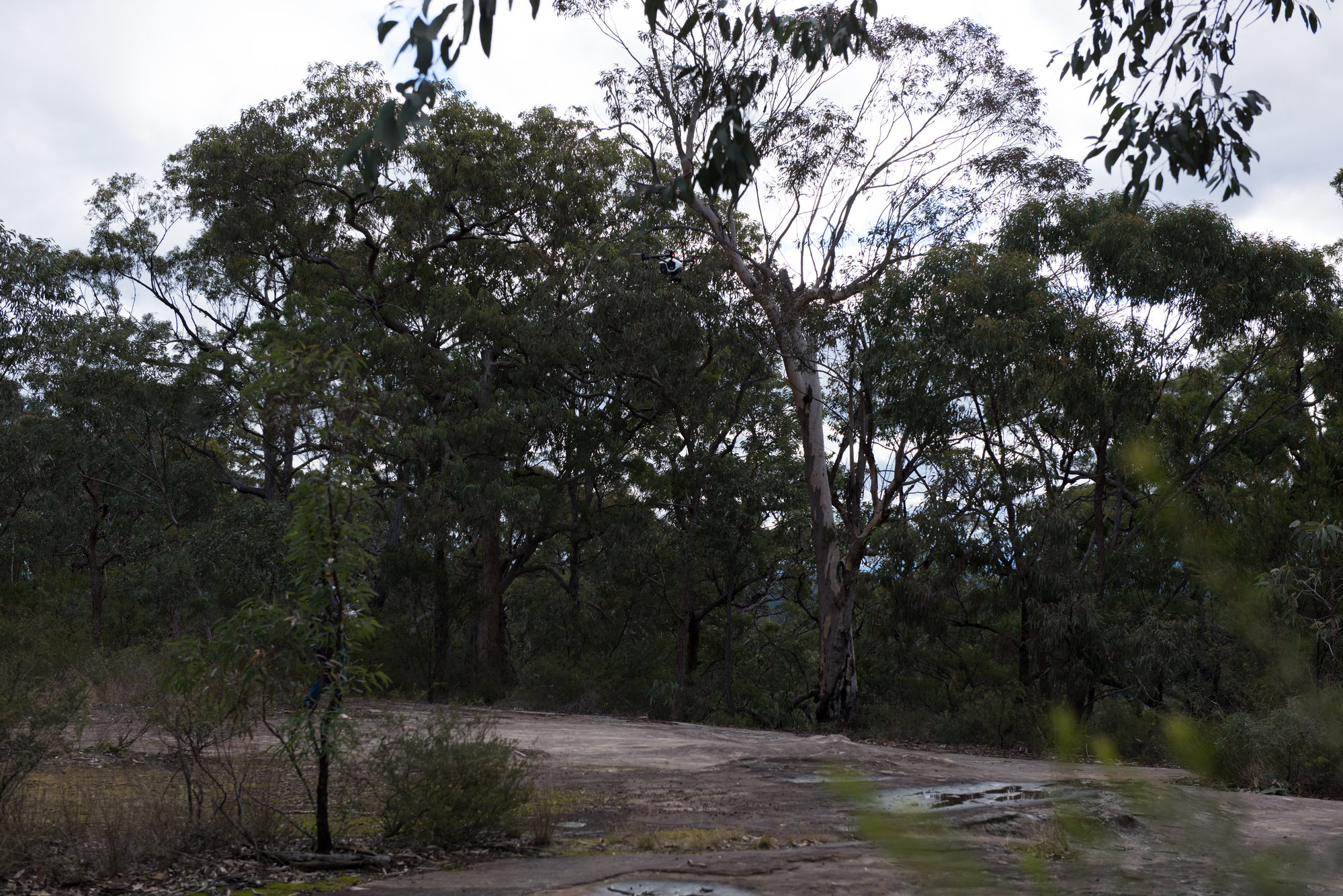 Finchley Reserve, Yengo National Park, NSW - Photo 0132 | Living Histories