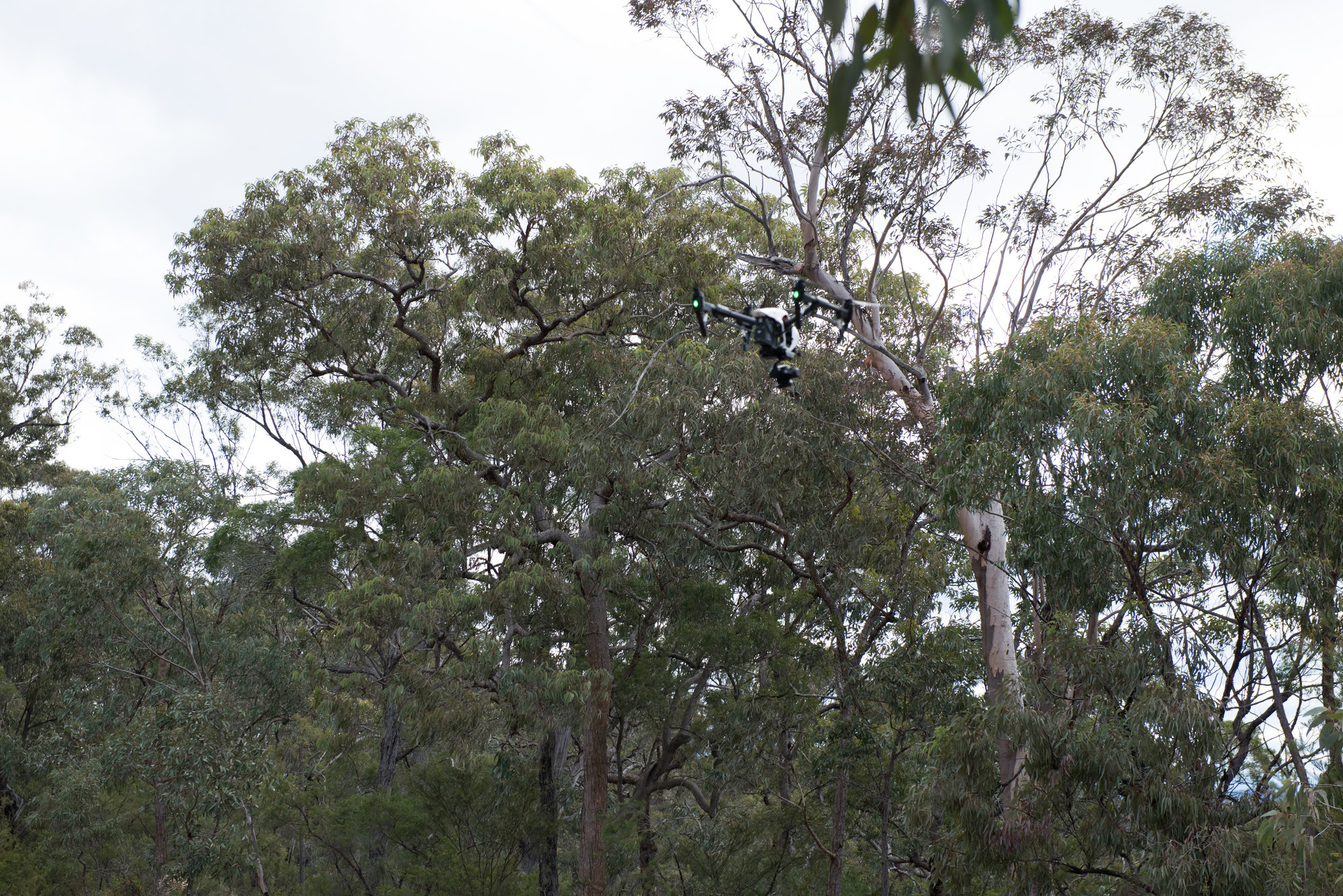 Finchley Reserve, Yengo National Park, NSW - Photo 0140 | Living Histories