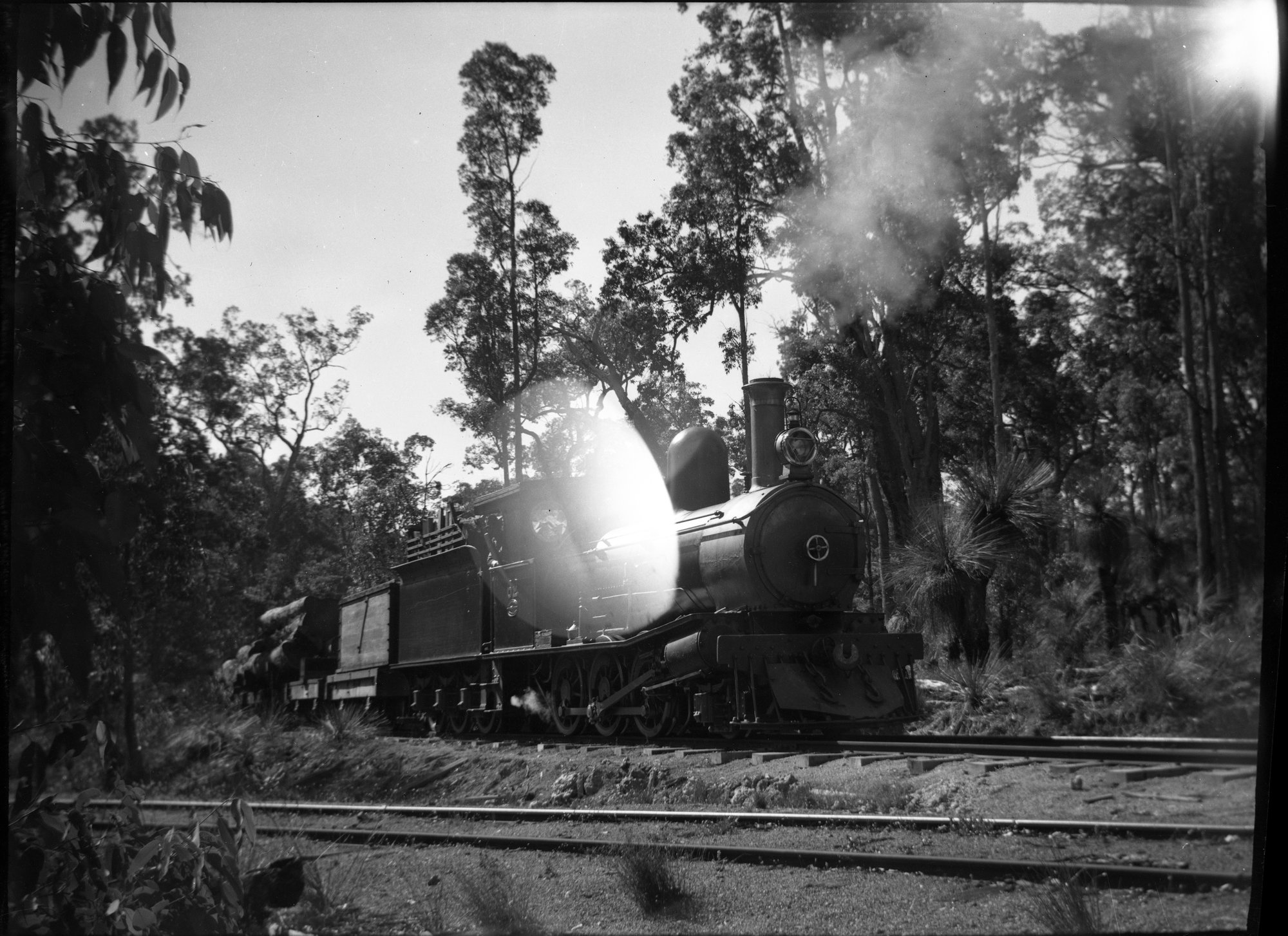 [West Australian] logging locomotive No. 62, [ex-SAR Y Class], wood ...