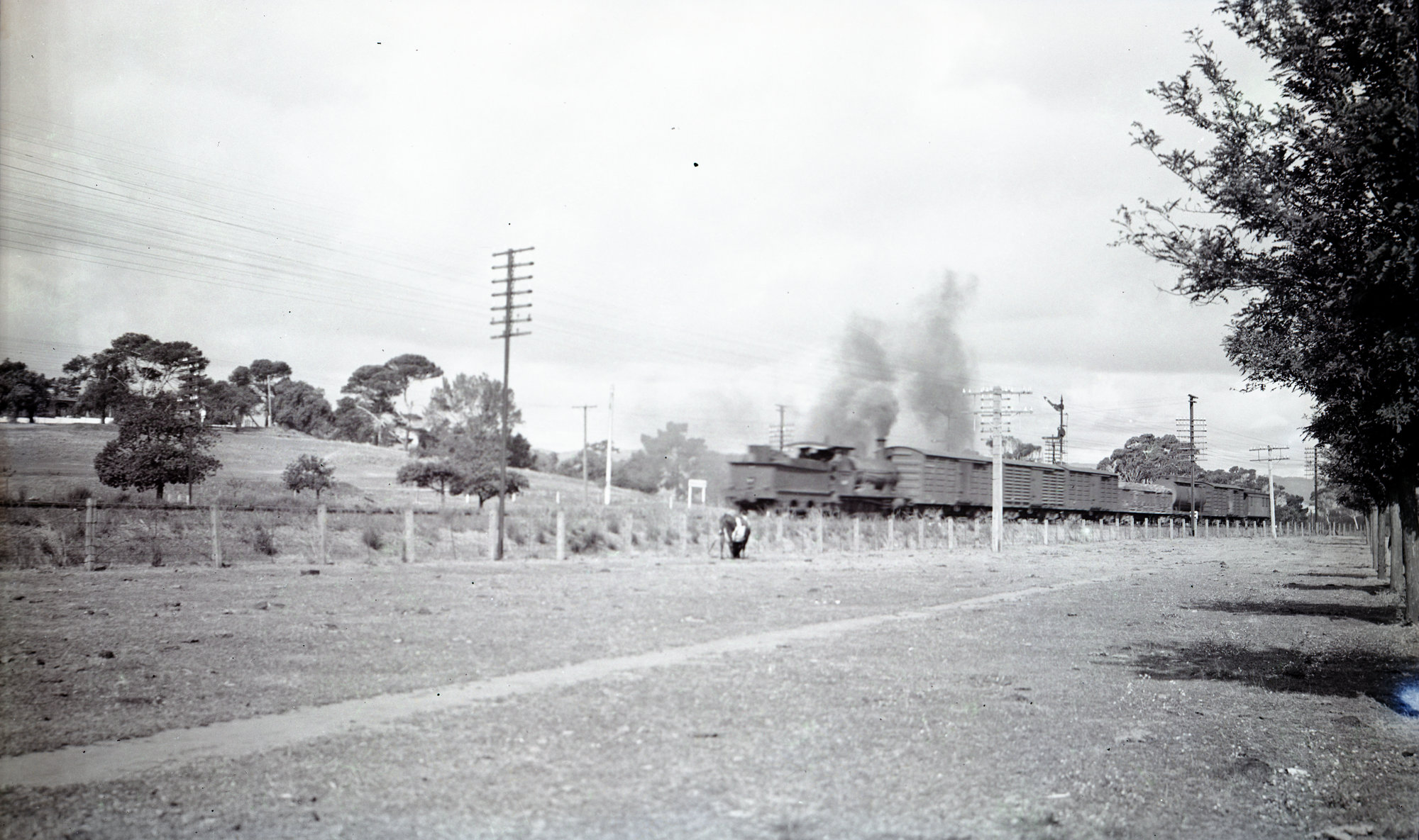 SAR Rx Class locomotive, running tender first, goods train ...