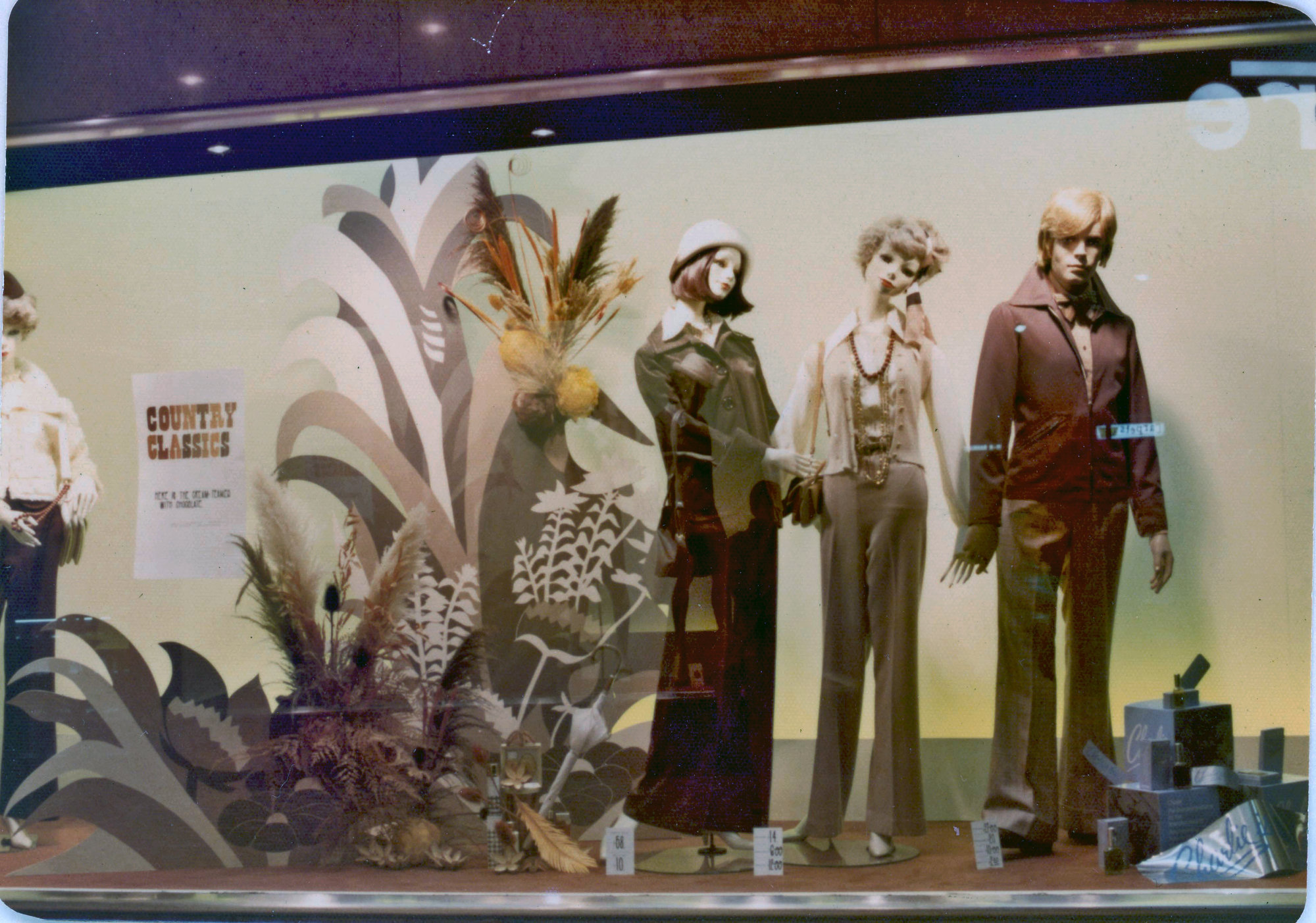 Window Display - 