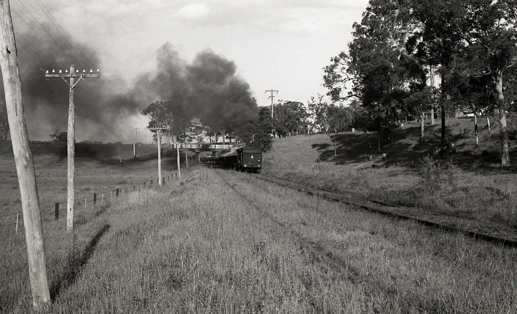 Locomotive No. 9 'Pelaw Main' approaches Doghole Stockrington, NSW ...