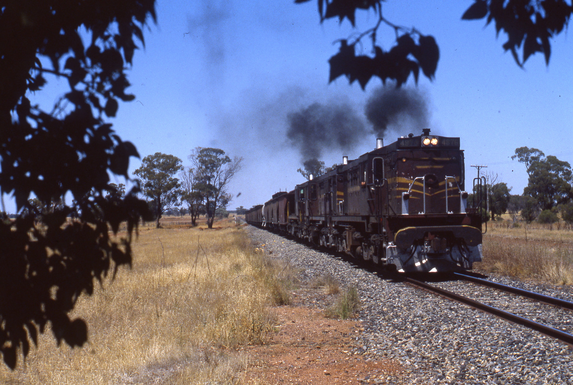 4876 and two 48 Class, wheat train, Fairview, NSW, [1987] | Living ...