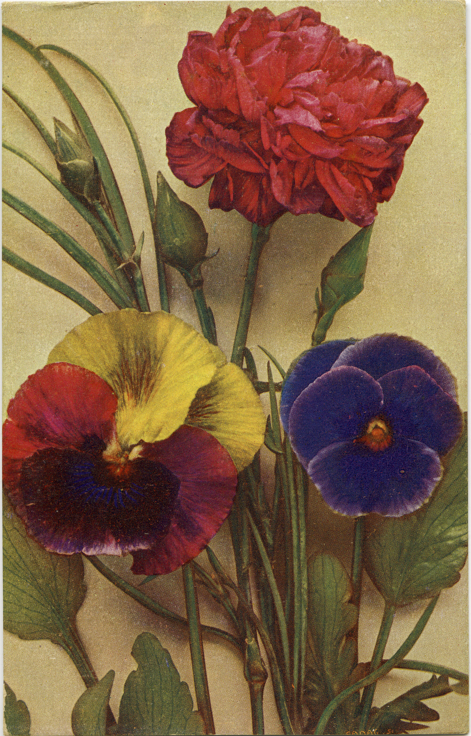 Three Flowers | Living Histories