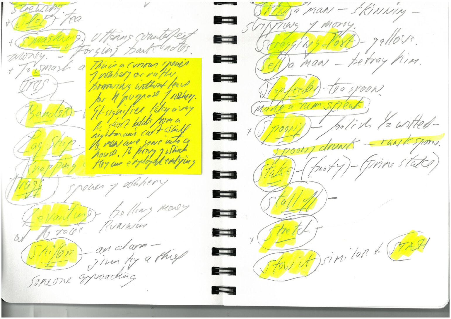 Excerpt from Carl's research notebook depicting flash language