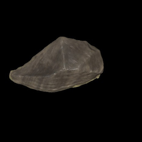 Stone Tool/PR09-SP2-A15-2-15