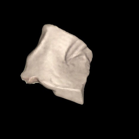Stone Tool/PR09-SP2-A15-2-17