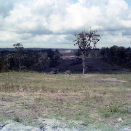 Near Freeman's Waterhole, February 1986