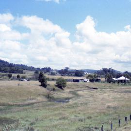 Near Freeman's Waterhole, February 1986