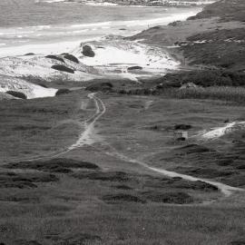 Burwood Copper Smelter, manager's house site, view of beach