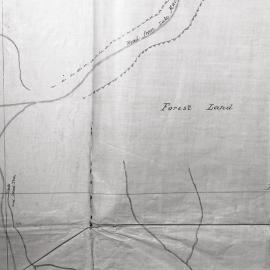 Forest land, plan of the Burwood Estate, [1854 in the District of Newcastle and County of Northumberland], the property of James Mitchell Esquire