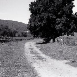Site [of] tramway to river, Paterson, NSW
