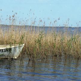 Student excursion to Myall Lakes (NSW), the University of Newcastle, Australia - 1992