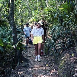 Student excursion to Myall Lakes (NSW), the University of Newcastle, Australia - 1992