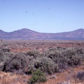 Flinders Ranges, SA, [1978]
