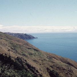 Coastal scene, [Wellington region], New Zealand, [1960]