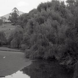 Gostwyck House, near Paterson, NSW, 1979