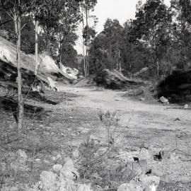 Cutting for Richmond Vale Railway at Minmi, NSW, starting from north and working south, 1980