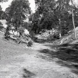 Tree lined cutting for Richmond Vale Railway at Minmi, NSW, starting from north and working south, 1980