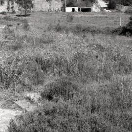 Site and tunnel entrance, Waratah Colliery, Charlestown (Waratah South), NSW, 1980