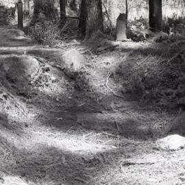 Site of horizontal boiler in Pines Forest picnic area, Watagan Forest, NSW, 1982