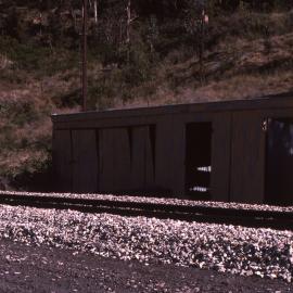 Brogan's Creek Railway Station, NSW, [1984]