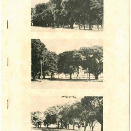Birdwood Park, August 1971