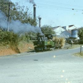 "Coolum", Moreton Mill, Nambour, Qld, October 1962