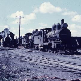 PB15 No. 576 and other locomotives, Qld, [1963]
