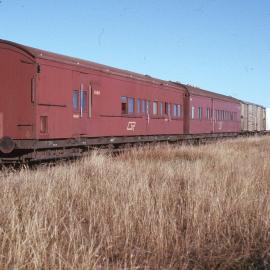 "Dirranbandi Mixed", Toobeah, Qld, 30 June 1989