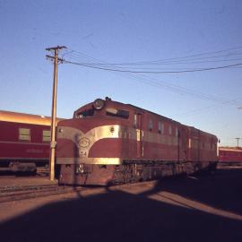 NSU54 and NT Class, Marree, SA, [1978]