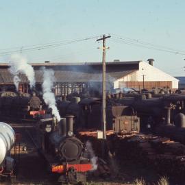 Several locomotives, Bunbury Depot, WA, September 1968
