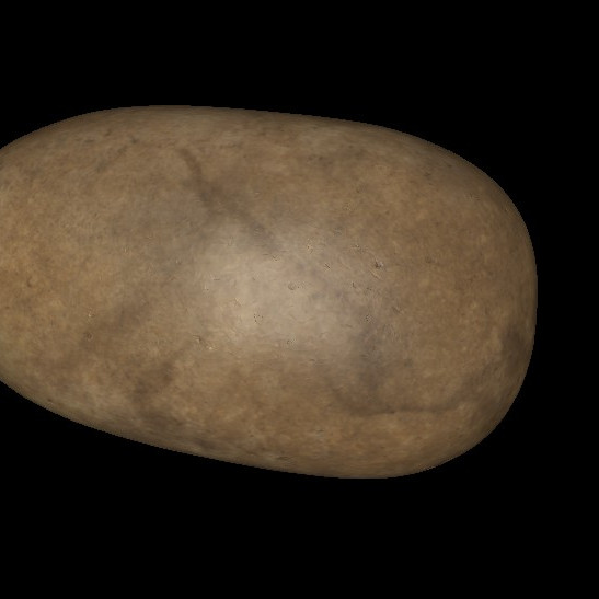 Stone Tool/PR09-SP0-C14