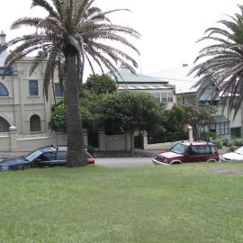 Streetscape, with Palm trees, Newcastle, NSW, 9 February 2010