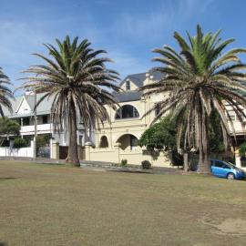 Tree lined street, Newcastle, NSW, 27 February 2010