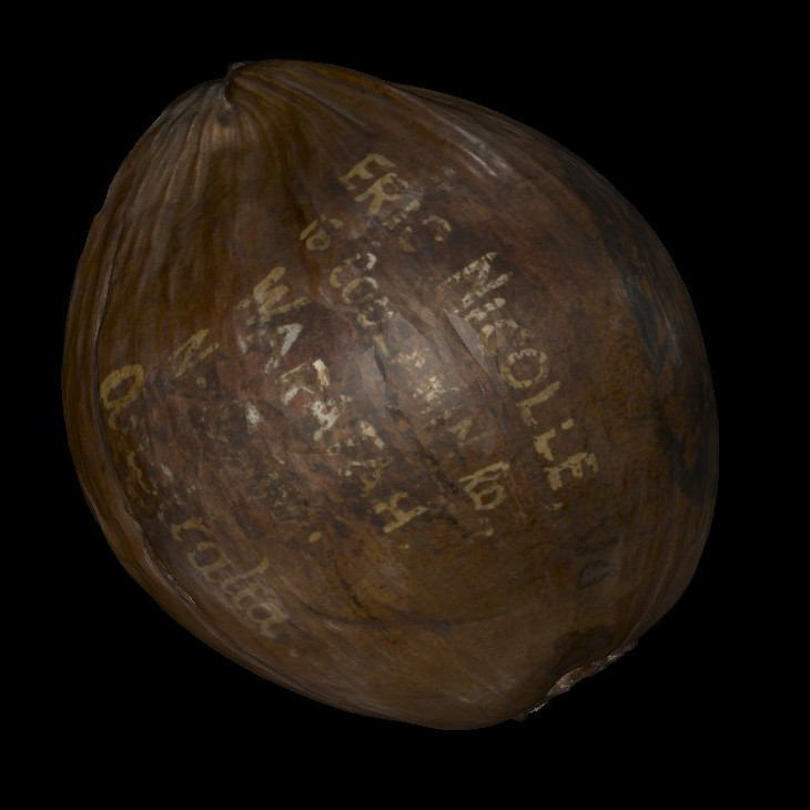 Coconut postcard from New Guinea - World War II