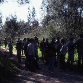 Symposium participants viewing swamp, Shortland Wetlands, NSW 1986-June 1988