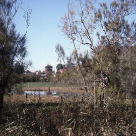 Water Ribbon Pond, Shortland Wetlands, Shortland, NSW, 1986-June 1988